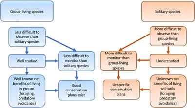 Global Change and Conservation of Solitary Mammals